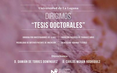 DIRECCIÓN DE TESIS DOCTORALES